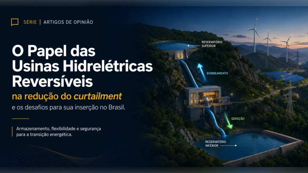 O Papel das Usinas Hidrelétricas Reversíveis na Redução do Curtailment e os Desafios para sua Inserção no Brasil